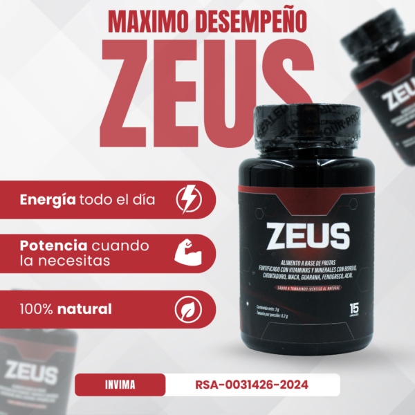 🔥ZEUS⚡